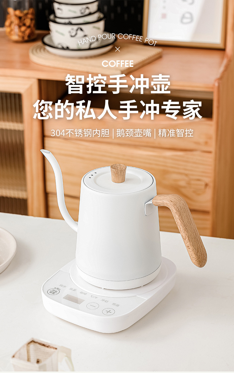 스테인리스 스틸 소형 온도 조절 전기 구스넥 주전자 ( - Tea And Coffee Kettle 리뷰 및 가격