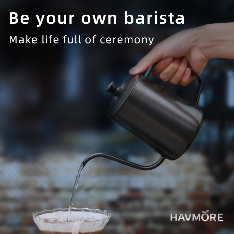 HAVMORE 304 스테인리스 스틸 티포트 핸드 브루 - Tea And Coffee Kettle 리뷰 및 가격
